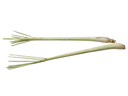 Lemongrass