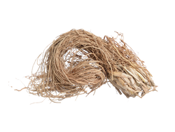 Vetiver