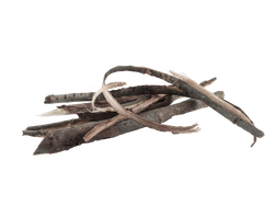 Willow Bark