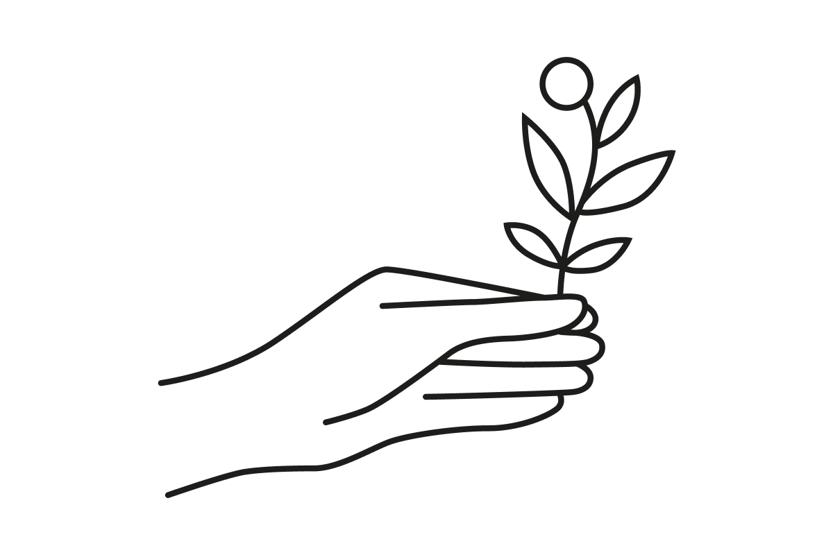 Hand holding a plant sprig